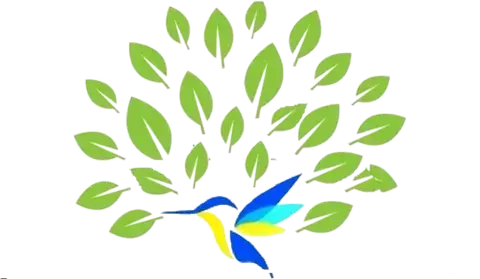 Kingfisher Jungle Stay