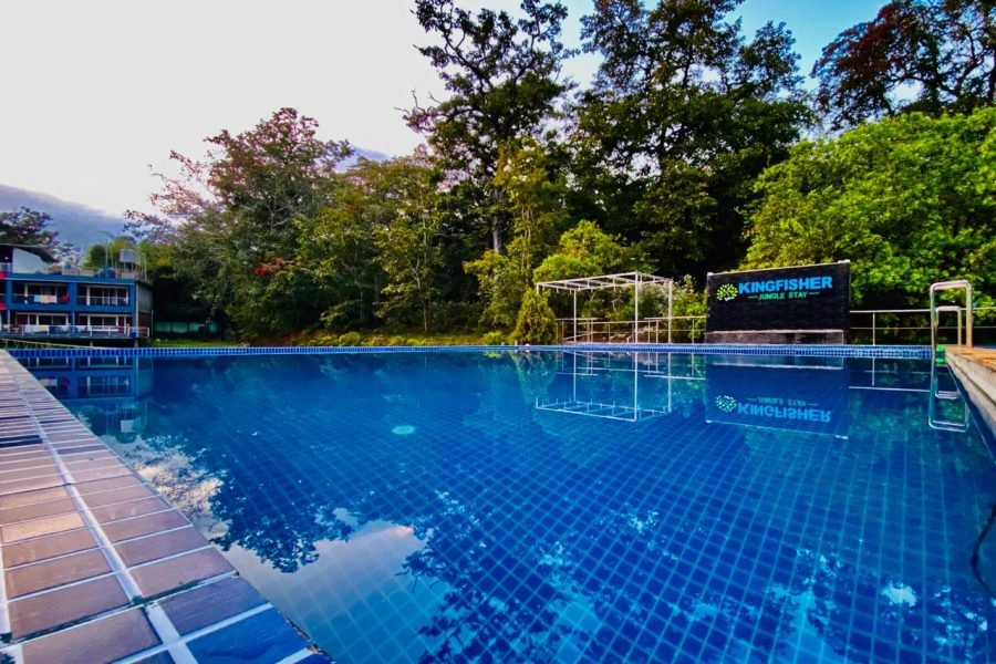 Kingfisher Jungle Stay