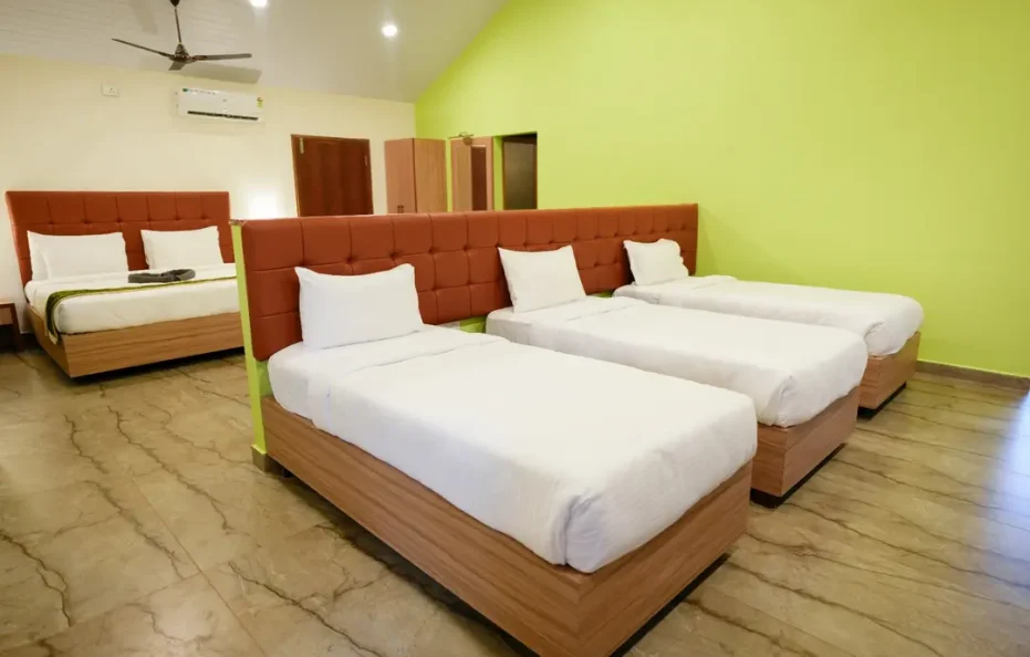 Asara – The Family Room